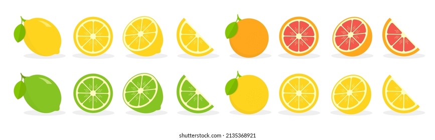 Fresh citrus fruit on white background. Oranges, lemons, lime and grapefruit. Whole, half and slice citrus set. Vector illustration.