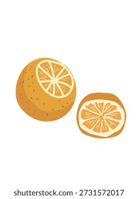 fresh citrus fruit slices close up