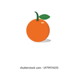 Fresh citrus fruit vector graphics