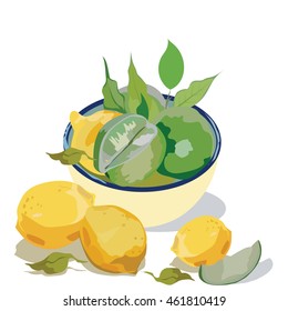 Fresh citrus fruits. lemon and lime branch with leaves Vector