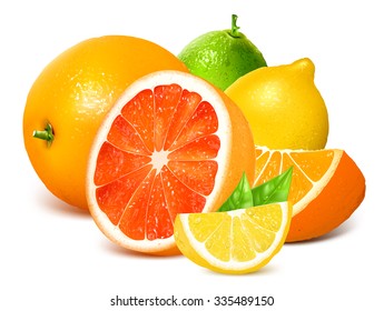 Fresh Citrus Fruits. Vector Illustration.