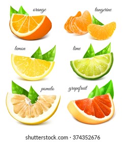 Fresh citrus fruits. Vector illustration. Fully editable handmade mesh.