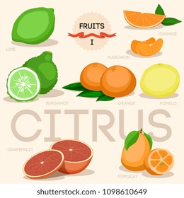 Fresh citrus fruits whole and halves flat icons square with orange grapefruit lemon isolated vector illustration