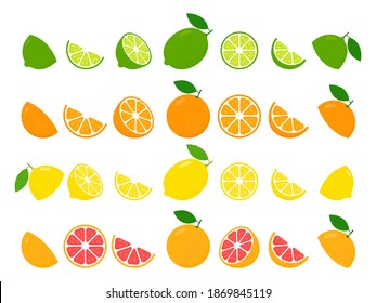 Fresh citrus fruits whole and halves of lime, lemon, grapefruit and orange set. Large fruit collection vector illustration isolated on white background. Healthy food concept.