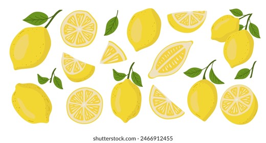 Fresh citrus, half sliced lemons and chopped lemon. Cut lemons. Isolated vector illustration set