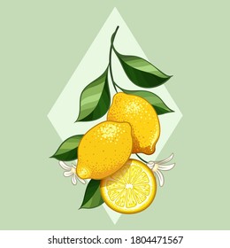 Diseño de limón cítrico fresco. ilustración vectorial