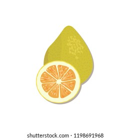 Fresh Citrus . orange, lemon, lime, bergamot, tangerine and grapefruit with leaves and slices