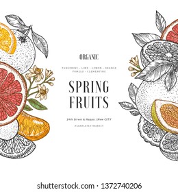 Fresh citrus retro design template. Engraved  botanical style illustration. Vector illustration