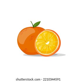 Fresh citrus and a slice on a white background. Vector illustration