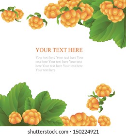 Fresh cloudberry on white background