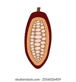 Fresh cocoa fruit and cacao beans isolated on a white background. Half sliced raw cocoa pod vector illustration. Organic agriculture harvest and natural chocolate ingredient graphic design concept.
