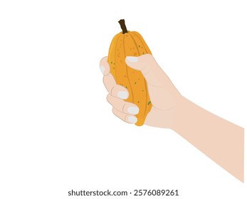 Fresh cocoa fruit on white background.