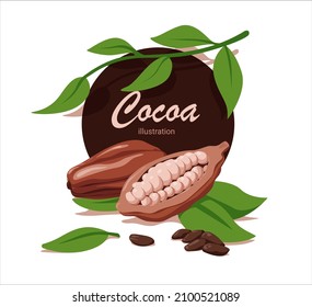 Fresh cocoa with green leaf in cartoon style. Vector whole and half cocoa with fried grains isolated on a white background.