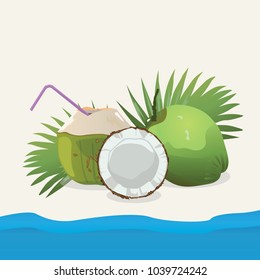 Fresh Coconut Beverage Summer