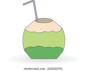 fresh coconut fruit, can be used for icon