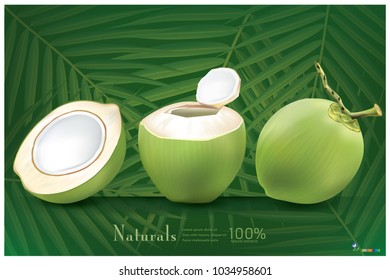 Fresh coconut with green coconut leaf background.illustration vector