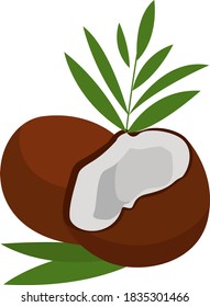 Frische Kokosnuss, Illustration, Vektorgrafik auf weißem Hintergrund