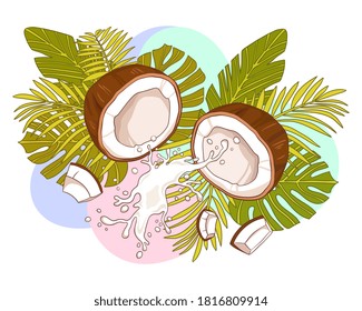 Fresh coconut split open with splashing milk and smaller pieces against a backdrop of green tropical leaves, colored vector illustration