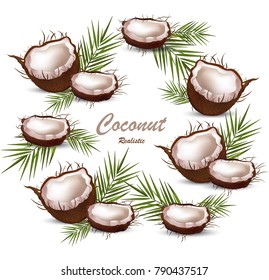 Fresh coconut tropic fruit Realistic Vector card illustration