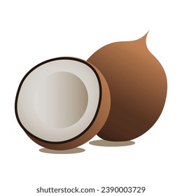 Fresh Coconut Vector Realistic cartoon isolated semi husted organic fruit