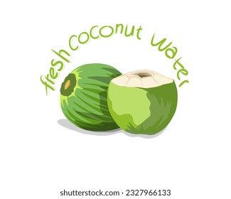 fresh coconut water with coconut fruit icon image on white background