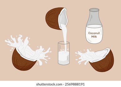 Fresh coconuts are split open, and creamy coconut milk is poured into a glass. Isolated vector illustration.