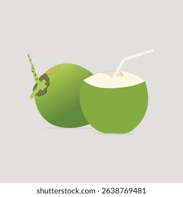 Fresh Coconuts with straw vector illustration.