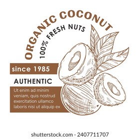 Fresh coconuts, vegan snacks. Tasty ingredients for making desserts and drinks. Organic natural meal for balanced nutrition. Promotional banner or product package sticker. Vector in flat style