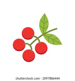 Fresh coffee bean, icon, Vector, Illustration.