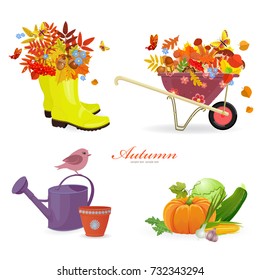 fresh collection autumn composition and gardening equipments for your design 