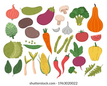 Fresh color vegetables set. Vegetarian farm, broccoli green healthy vegetable. Isolated greens, doodle onion big tomatoes. Cooking exact vector set