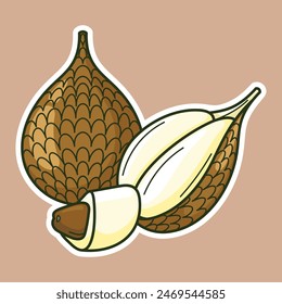 Fresh Colorful Tropical Exotic Fruits Sliced Vector Arts