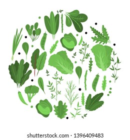 Fresh colourful greenery  arranged in circle. Vector illustration.