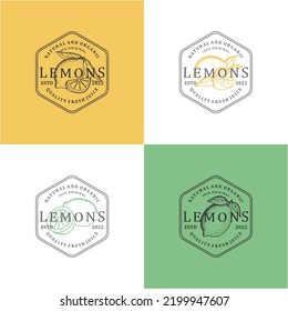 FRESH CONCEPT VINTAGE LEMON FRUIT DESIGN