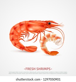 Fresh cooked shrimps peeled deveined and with shell on closeup realistic seafood image advertising poster vector illustration