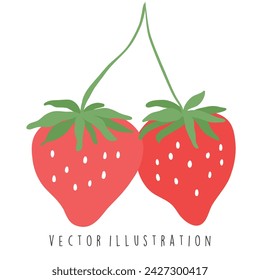 Fresh Coquette strawberry vector illustration
