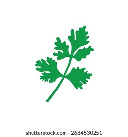 Fresh coriander or cilantro herb flat vector illustration on white background