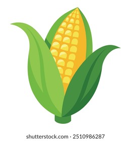 Fresh Corn Art, Vector, Icon and Graphic, Flat Vegetables Illustration Design On White Background