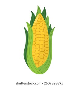 Fresh corn in cartoon style isolated element. Farm vegetable for farm market design. Organic healthy food clipart. Vector illustration