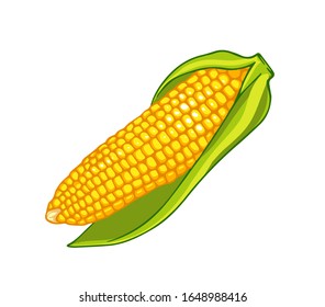 Maíz fresco. Icono vectorial de caricatura aislado en fondo blanco.