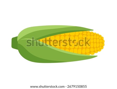 Fresh corn cob with green husks. Summer vegetable for healthy eating. Farm harvest. Simple graphic design illustration