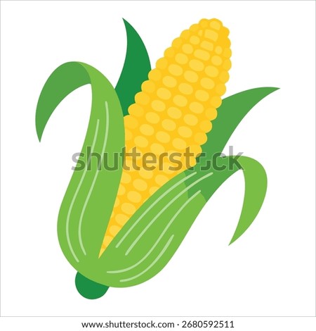 fresh corn cob with husk vector isolated on white