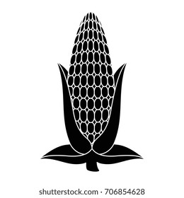 fresh corn cob icon