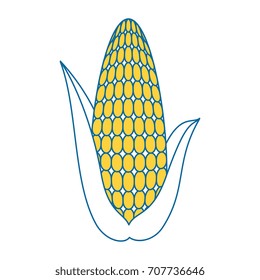 fresh corn cob icon
