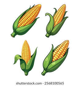 Fresh corn cobs with husks, healthy food illustration, perfect for farm-to-table designs, organic food branding, or grocery store logos