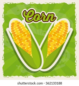 fresh corn design 