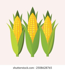 fresh corn ears with leaves isolated on white background
