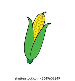 Fresh corn with green husk peeled back clean yellow veggie Vector illustration