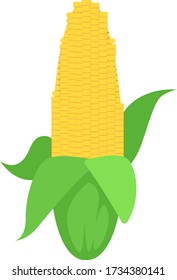 Maíz fresco, ilustración, vector sobre fondo blanco