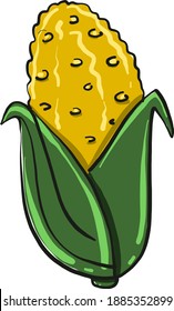 Fresh corn ,illustration,vector on white background